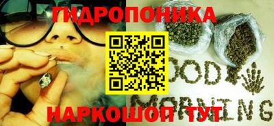 амф Усть-Джегута