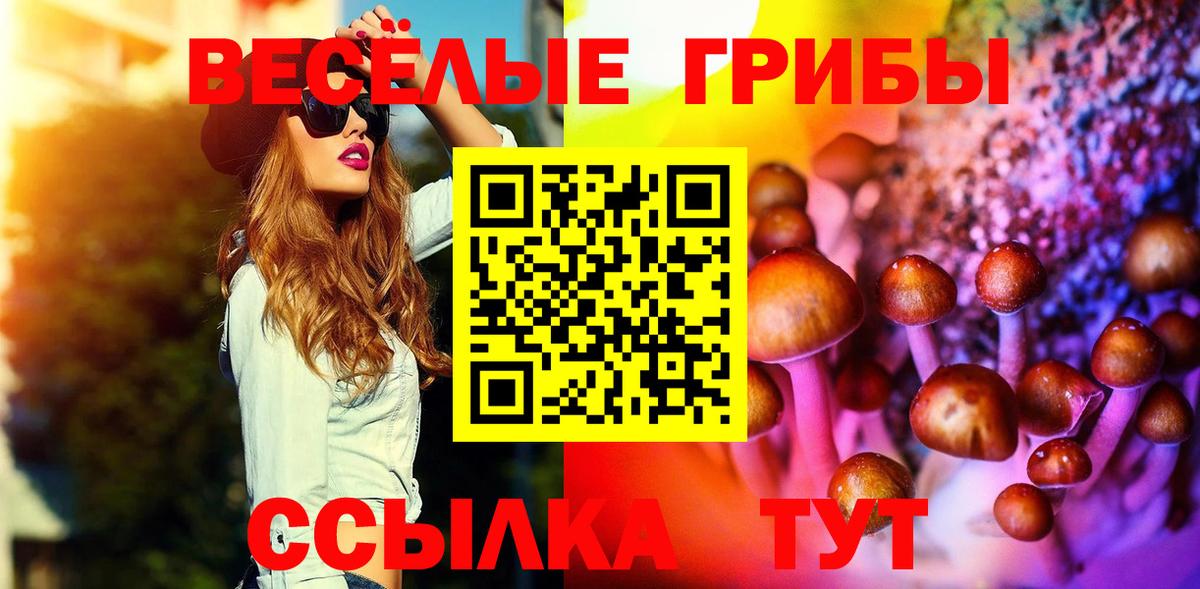где найти   Псилоцибиновые грибы Psilocybine cubensis  Вход с VPN  Аша 