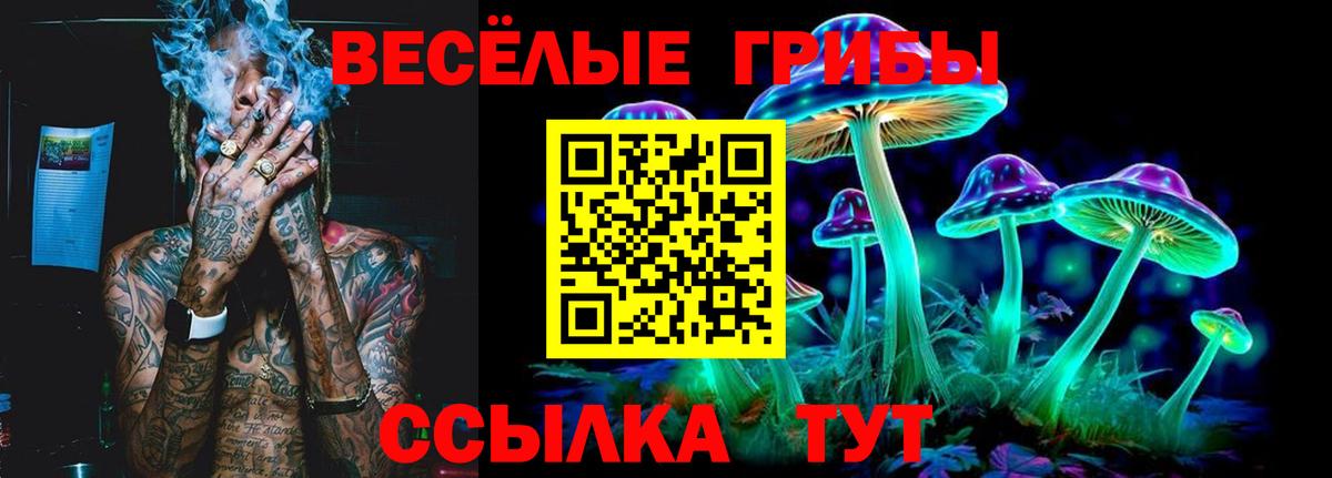 Галлюциногенные грибы Magic Shrooms Аша